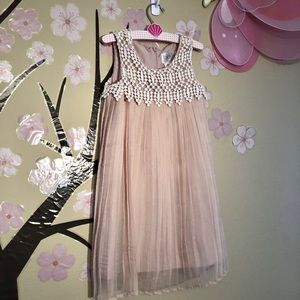 Vintage Lace and Blush Pleated Dress